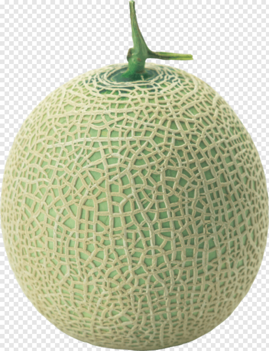 melon # 809885