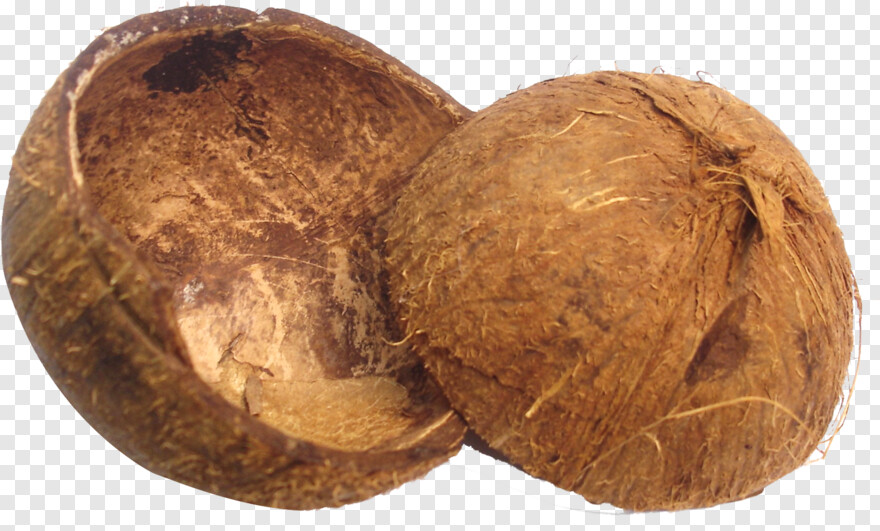 coconut # 990168