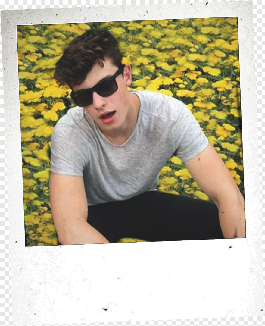 shawn-mendes # 539678