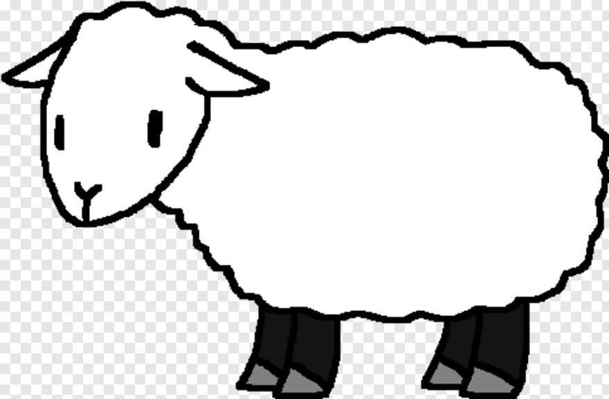 sheep # 592063