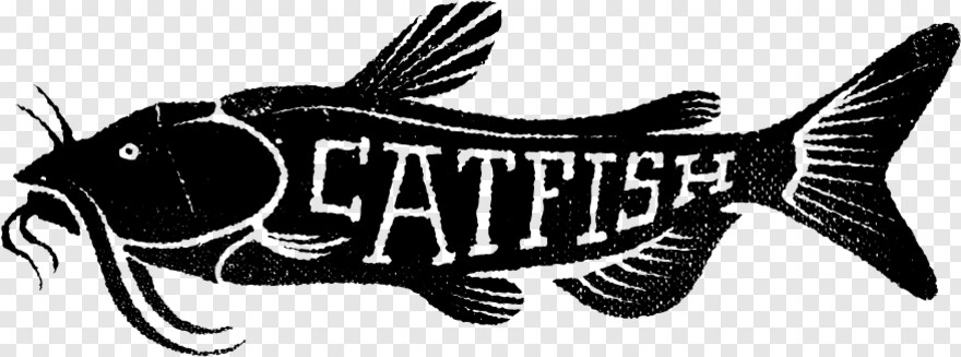 catfish # 1048371