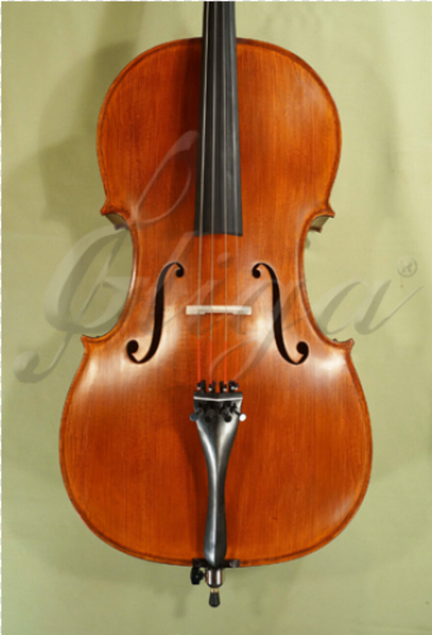 cello # 1045162