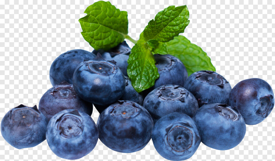 blueberry # 343795