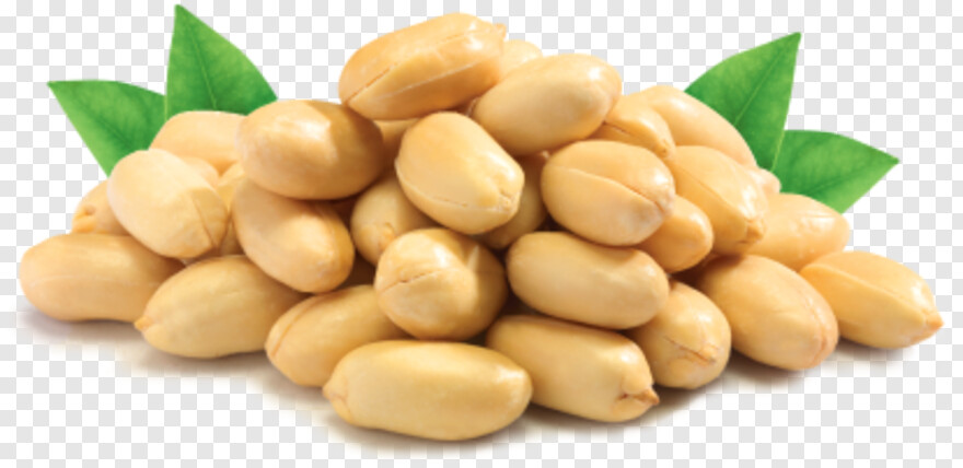 peanut # 659650