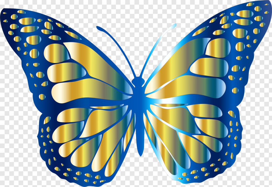 monarch-butterfly # 1094559