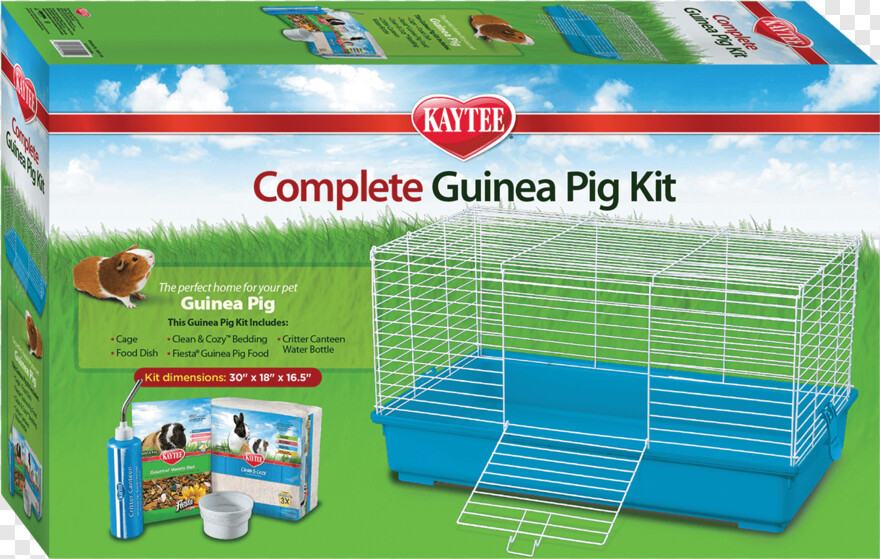 guinea-pig # 1087822