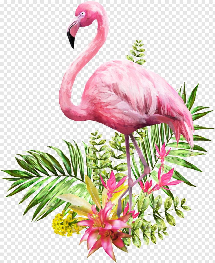 flamingo # 828814