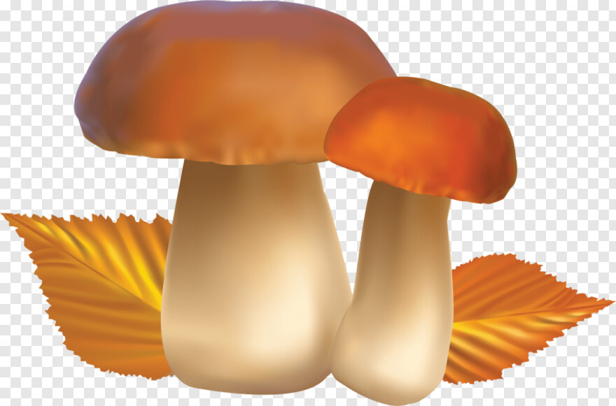 mushroom # 683444
