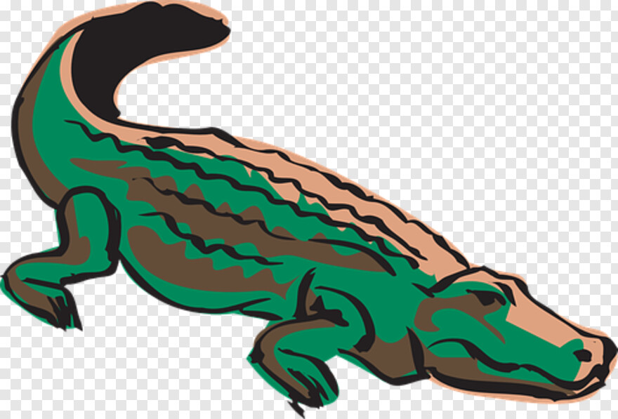 alligator # 538151