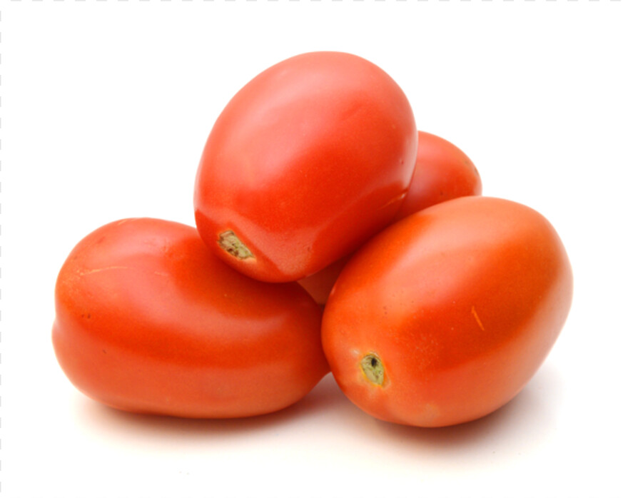 tomato # 650441