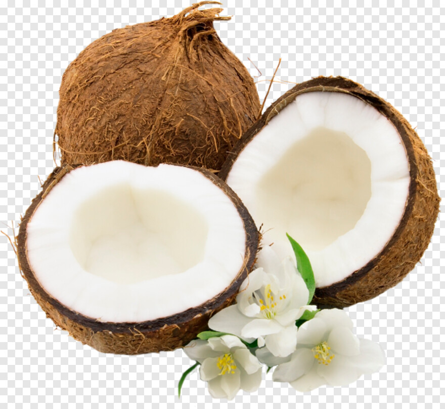 tender-coconut # 428700