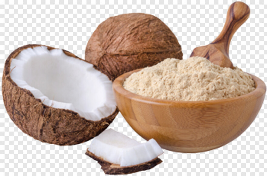 coconut # 990261