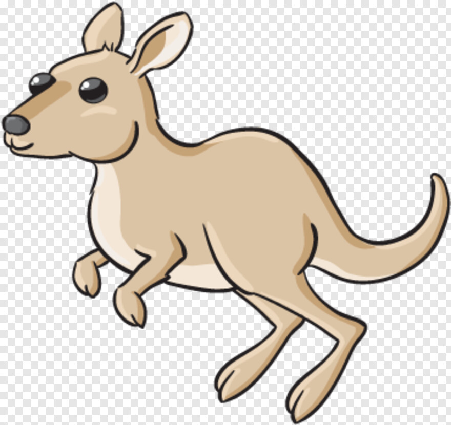 kangaroo # 435101