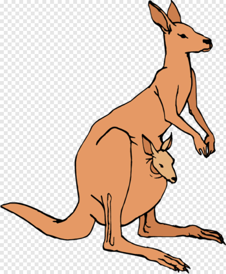 kangaroo # 733809