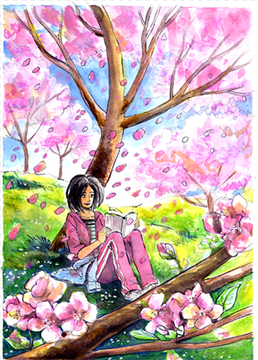 cherry-blossom-petals # 344374