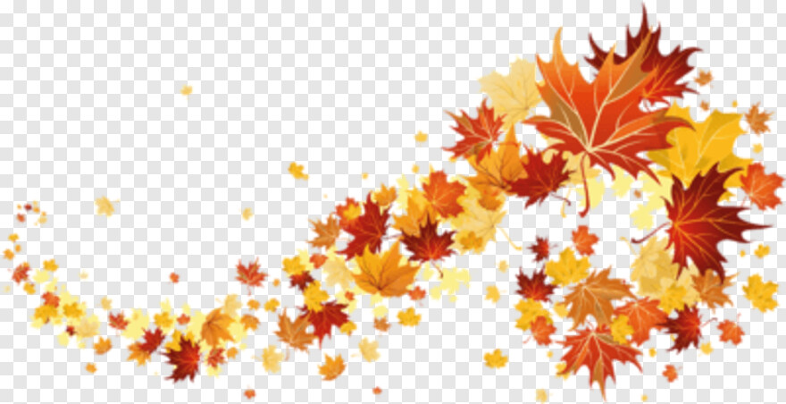 fall-leaves # 441962