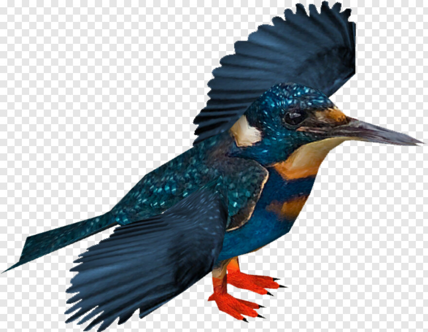 kingfisher-logo # 730560