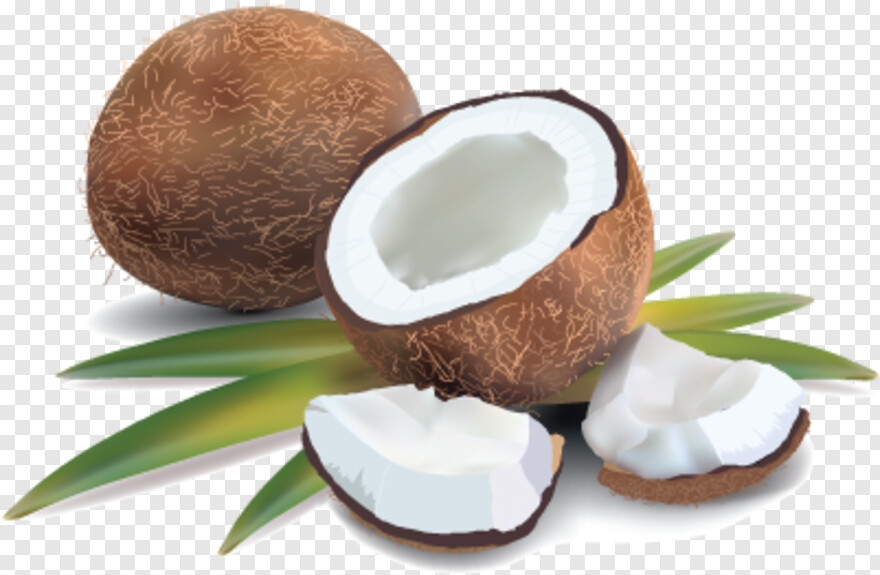 coconut # 990265