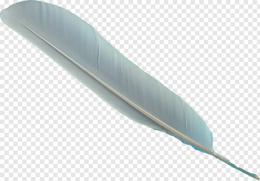 feather # 842566