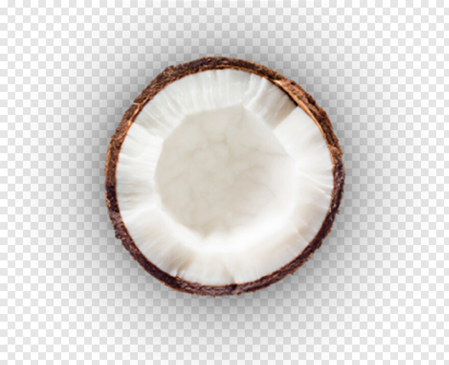 coconut # 990151