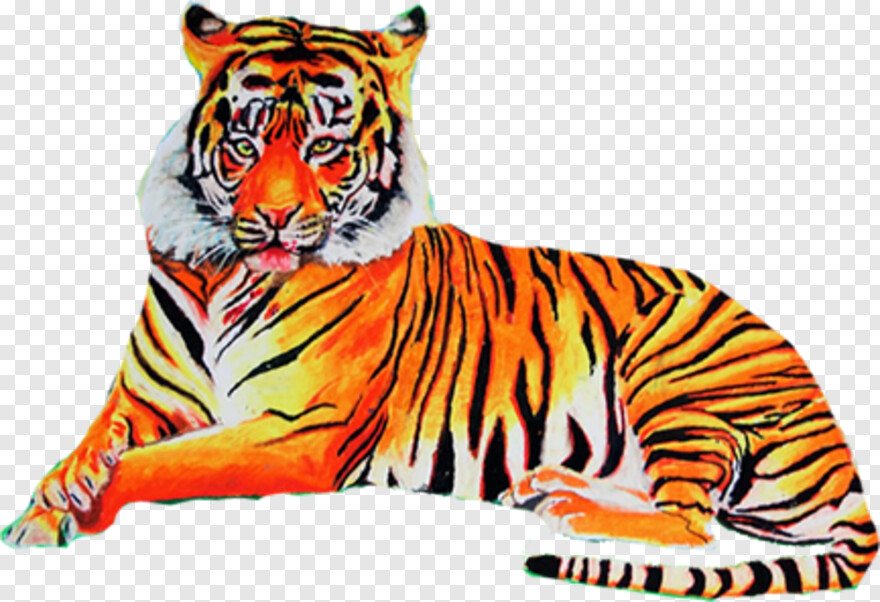 tiger # 918873