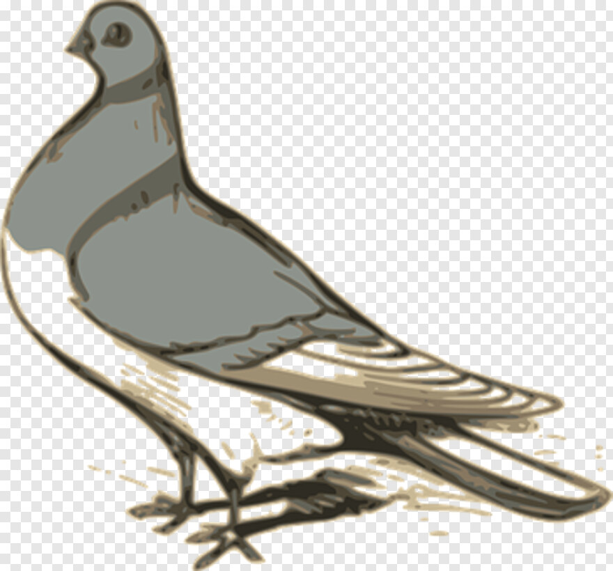 pigeon # 454001