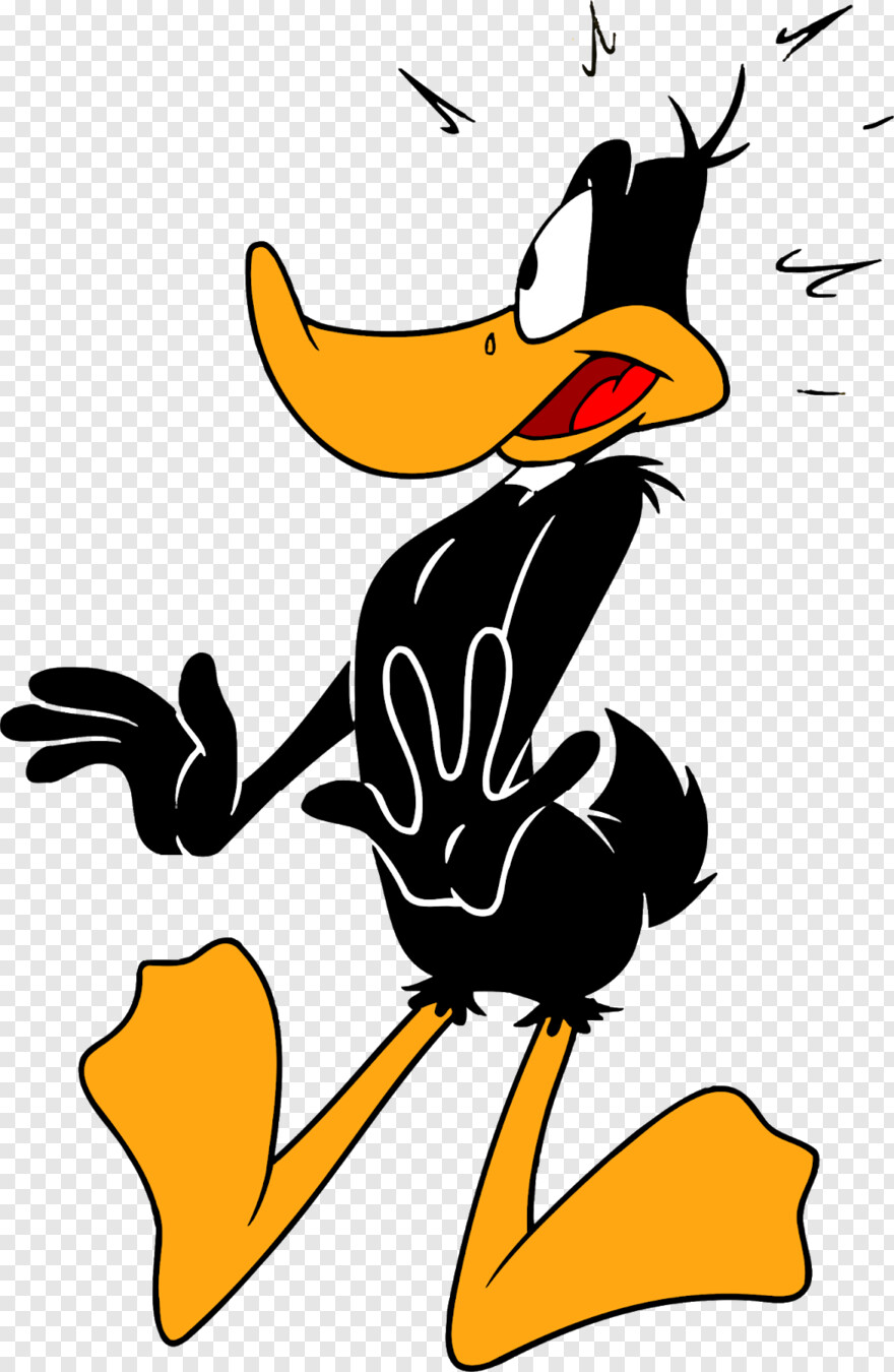 daffy-duck # 1035559
