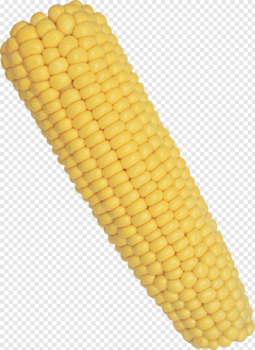 sweet-corn # 991321