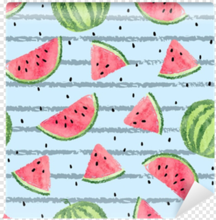 watermelon # 1037001