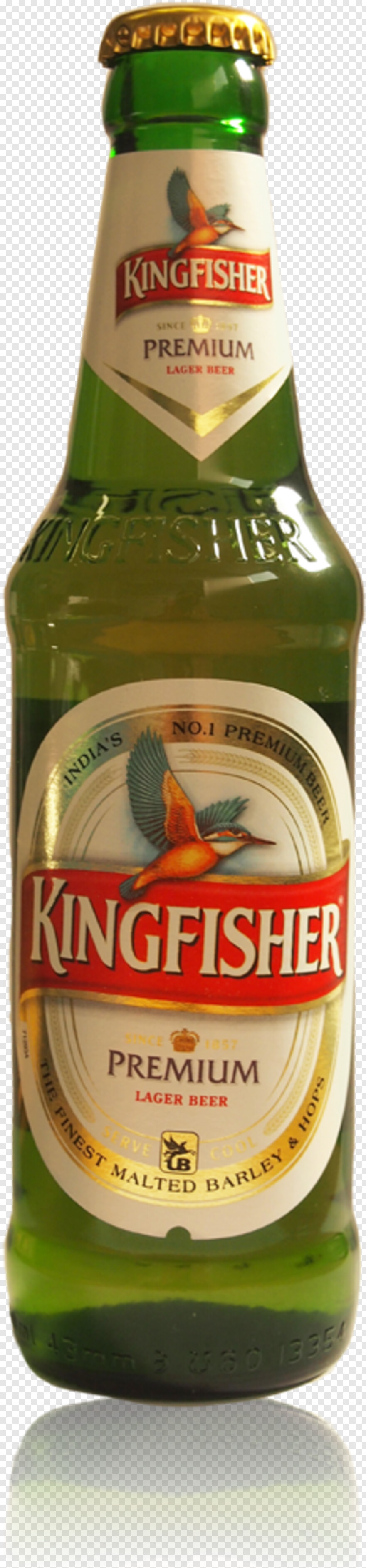 kingfisher-logo # 380679