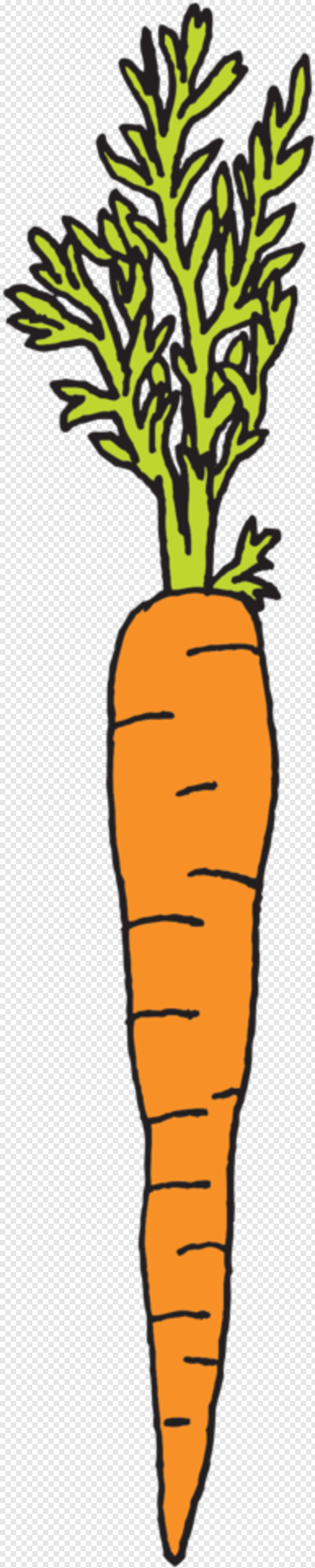 carrot # 1061167