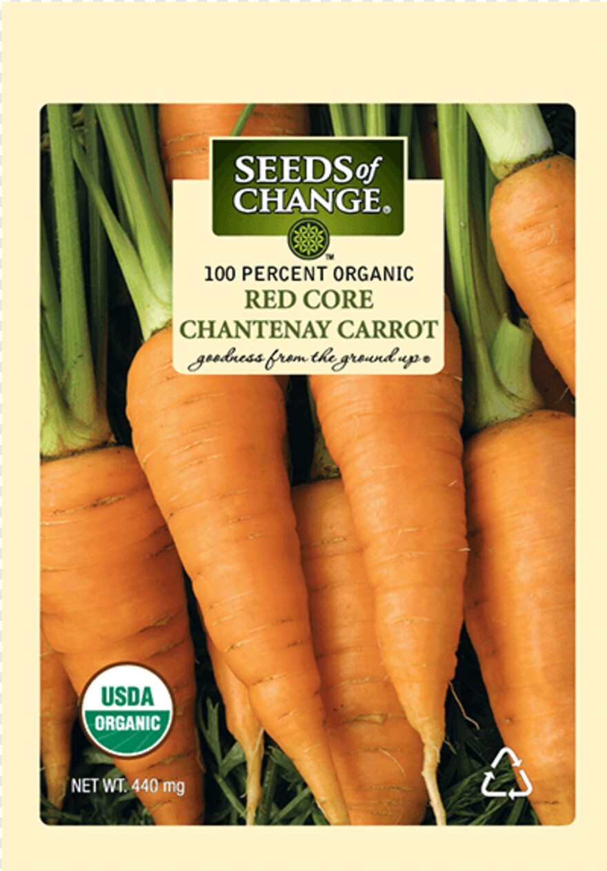 carrot # 1061236