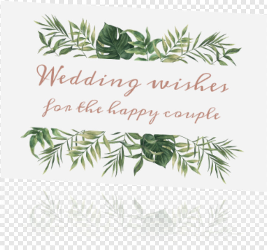 wedding-wishes # 509586