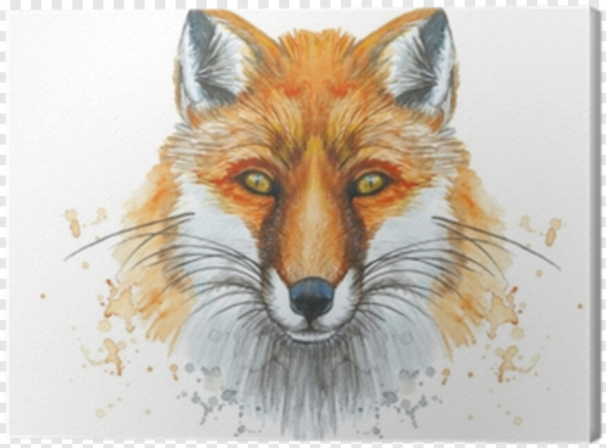 fennec-fox # 510742