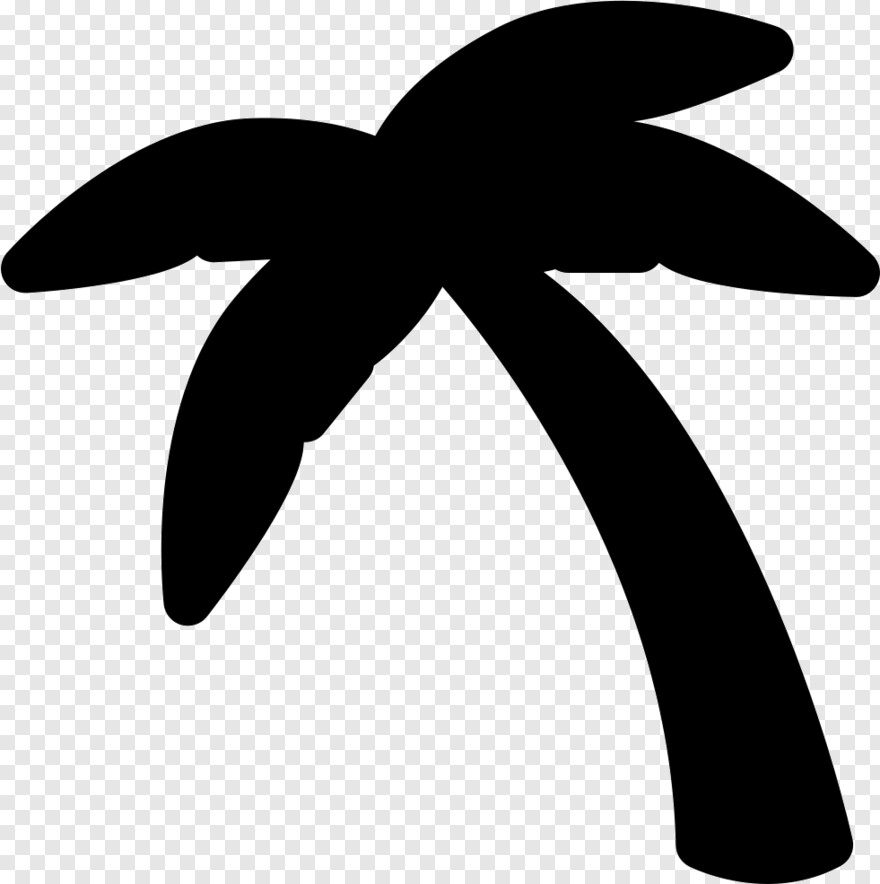 beach-coconut-tree # 458983