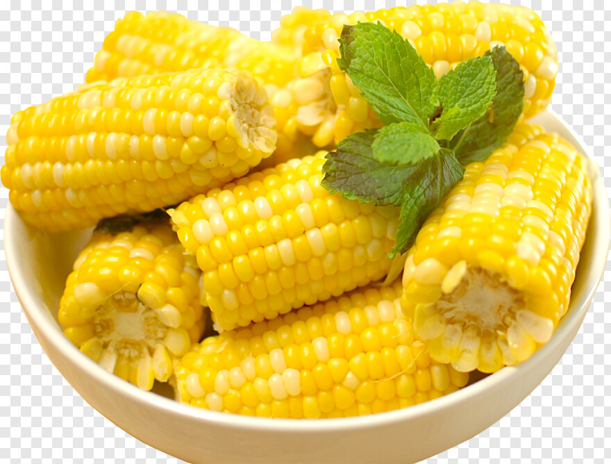 sweet-corn # 956565
