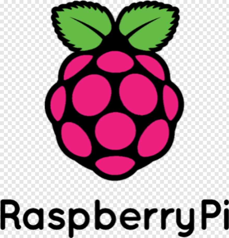 raspberry # 655879
