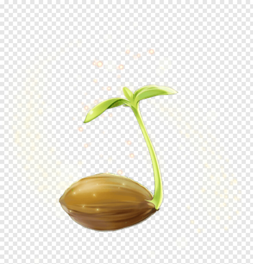 sprout # 682426