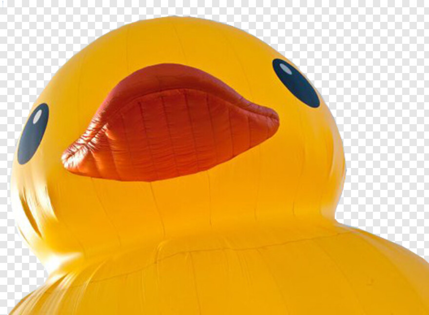 rubber-ducky # 428571