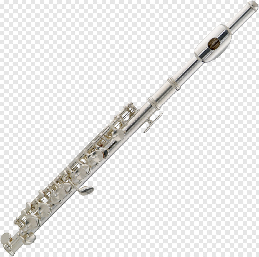 flute # 823422