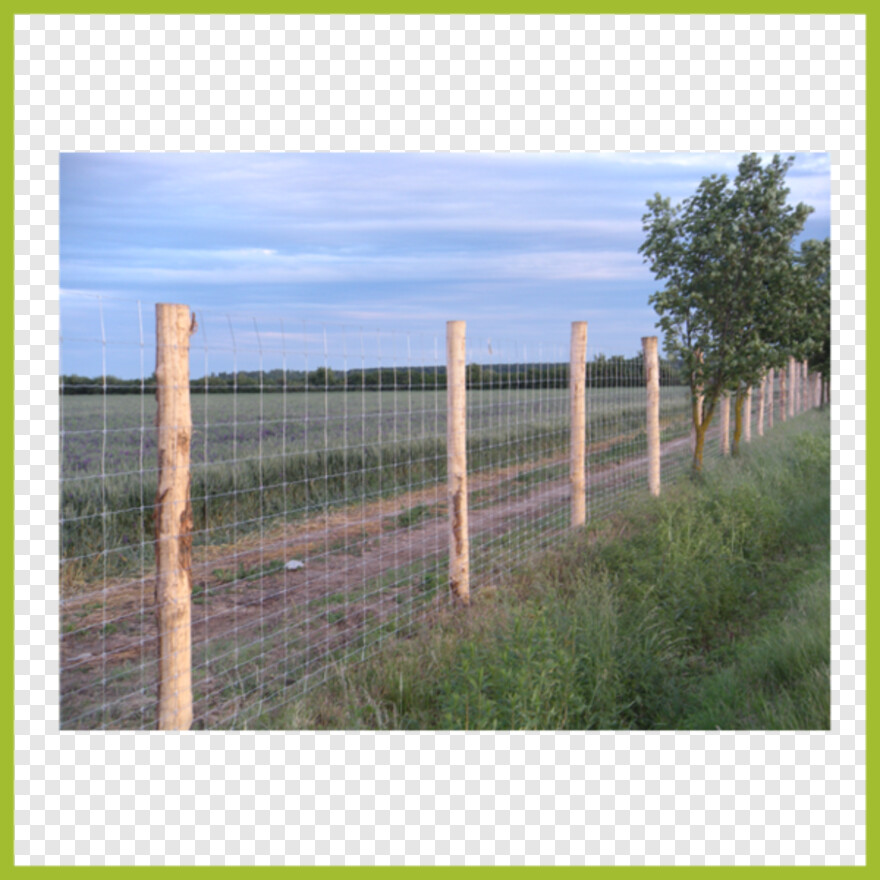 picket-fence # 840906