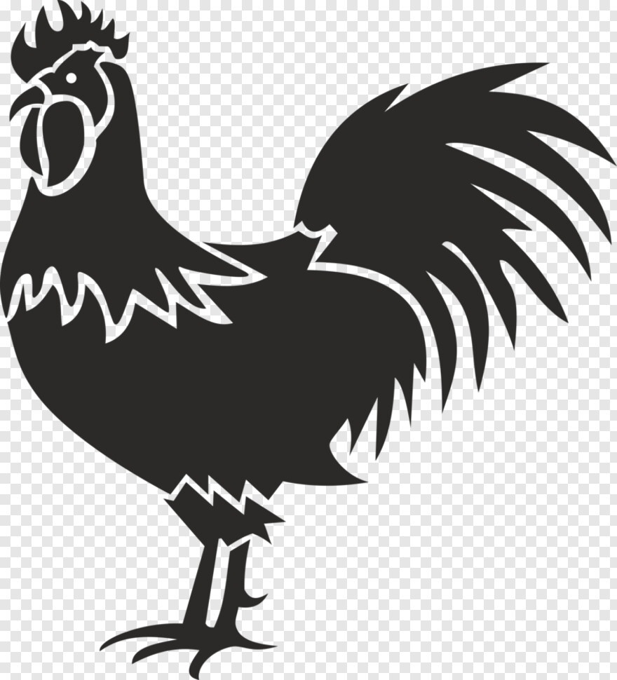 rooster # 1025692