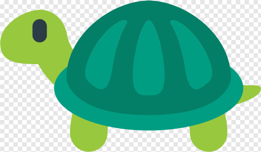 turtle # 601457