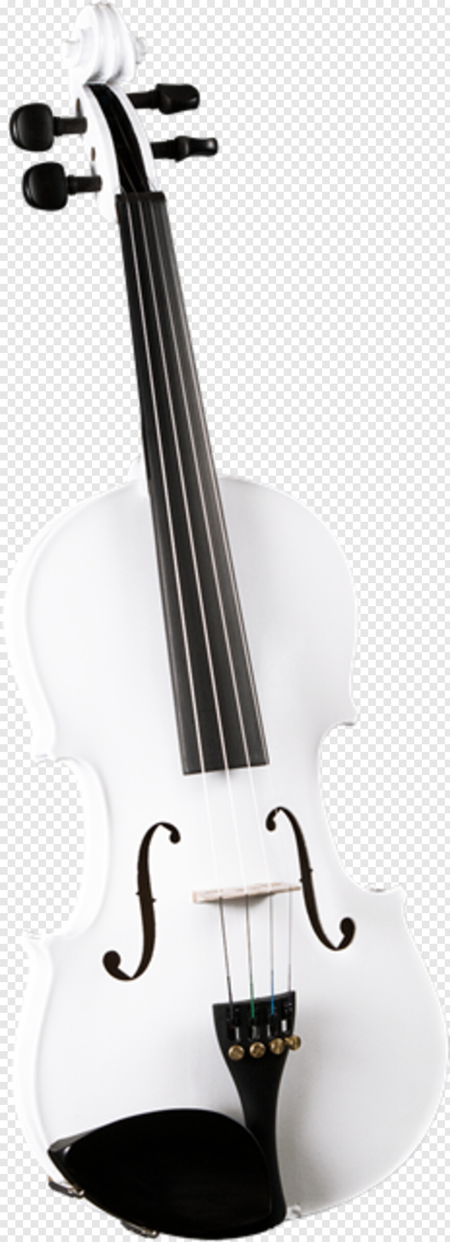 violin # 594039