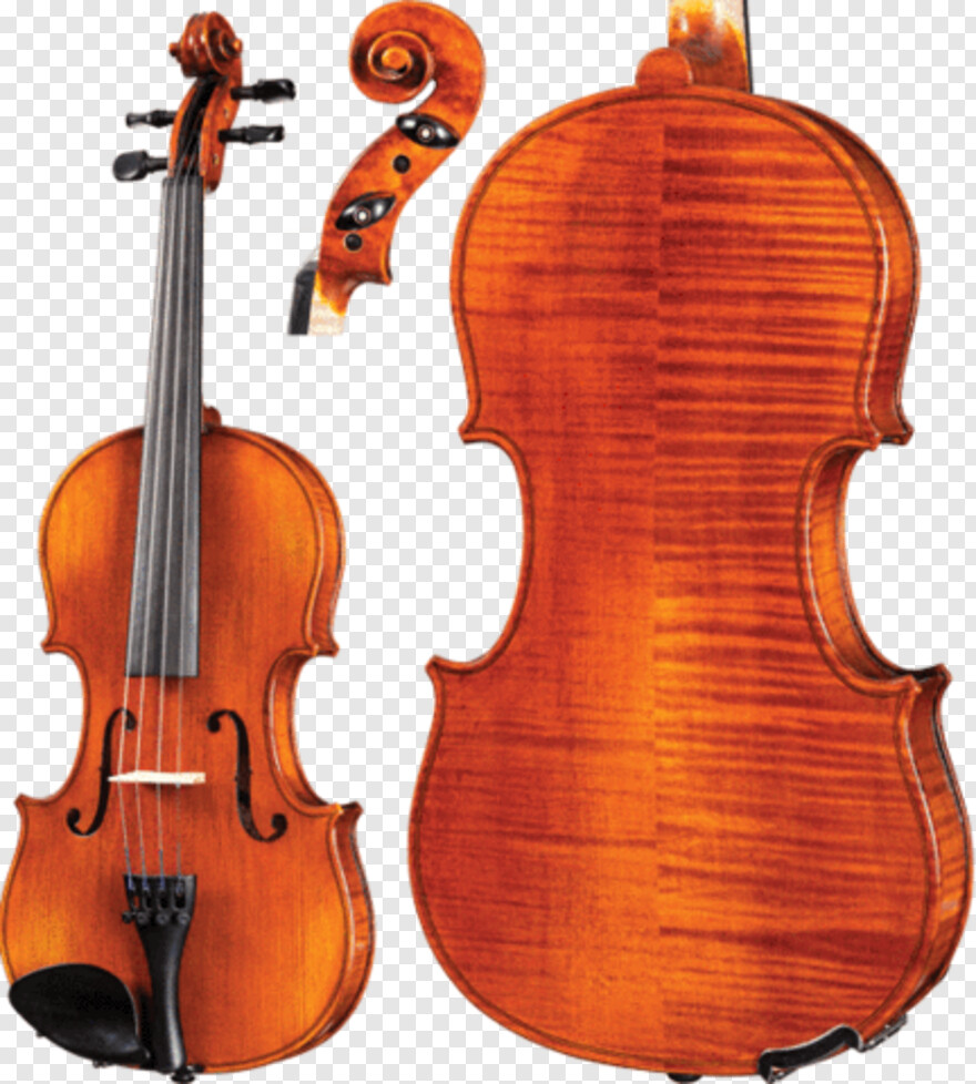 violin # 580636