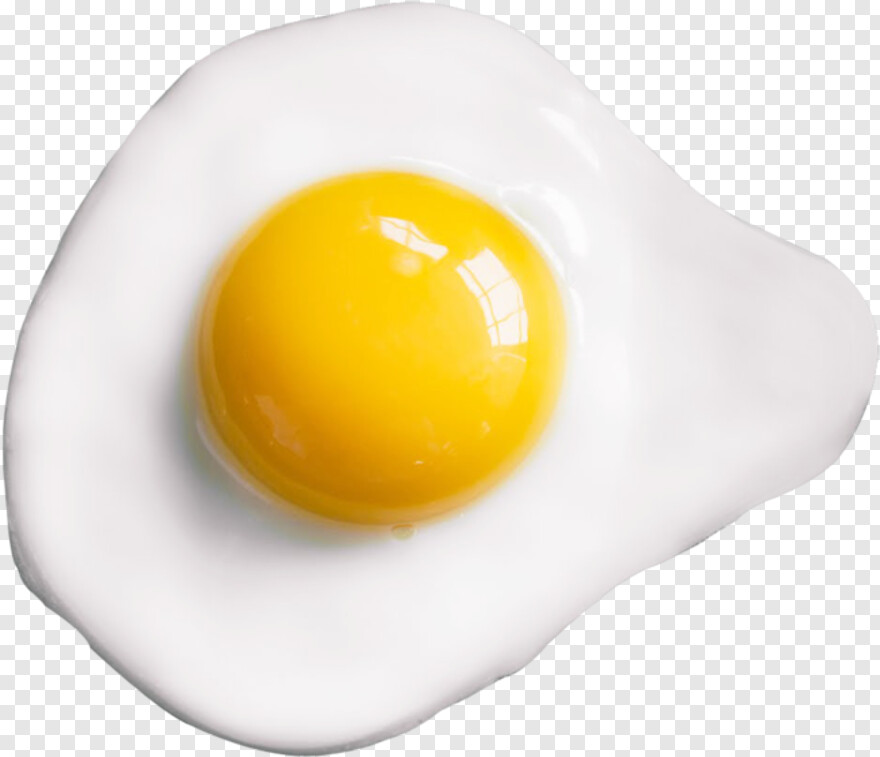 fried-egg # 871911