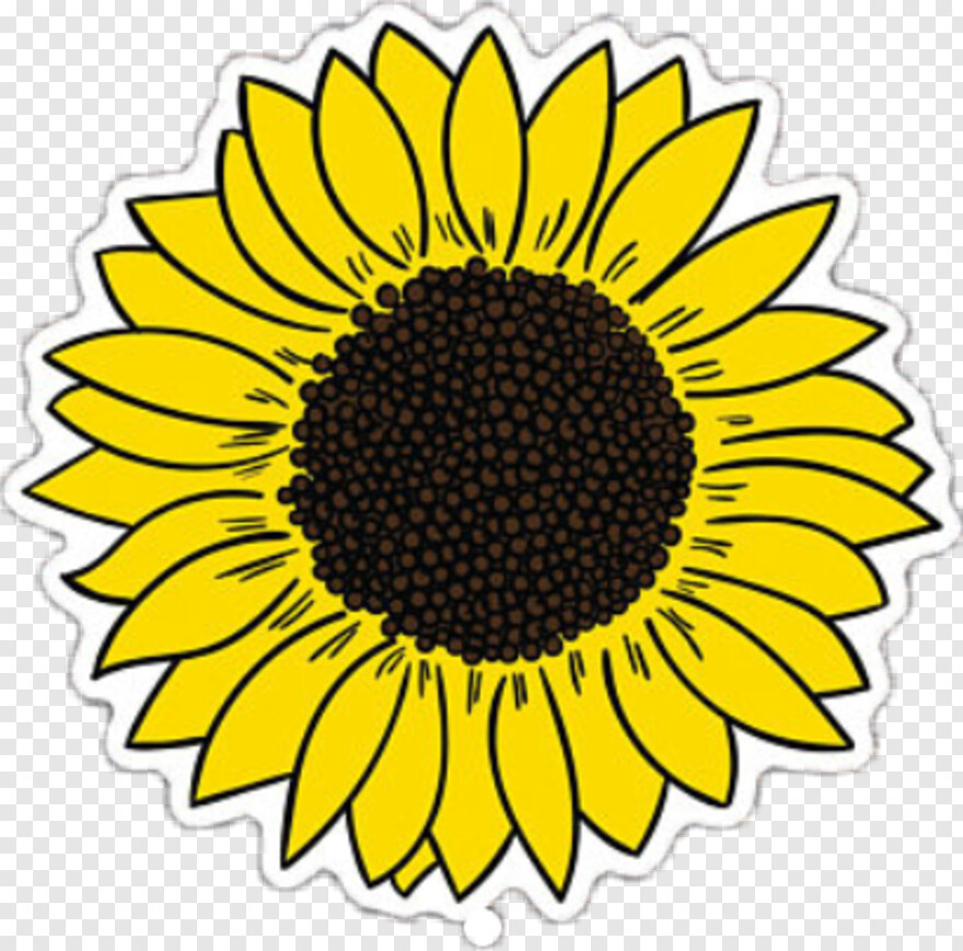 sunflower # 718006