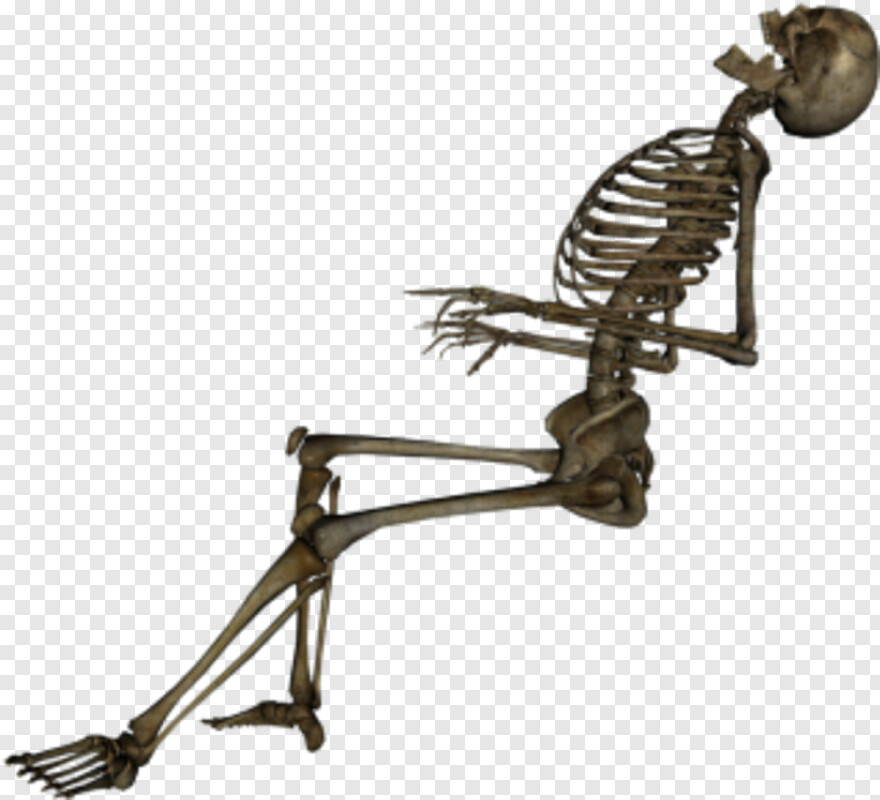 skeleton # 754557