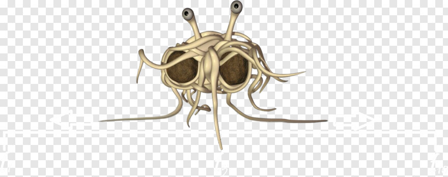 spaghetti # 823162