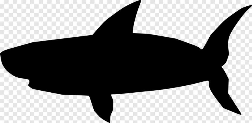 whale-shark # 434945